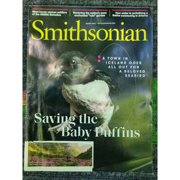 Smithsonian Magazine 2023 History King Westminster Abbey Puffin Iceland Arizona - Picture 3 of 3